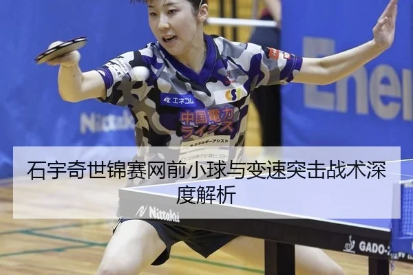 shi-yu-qi-shi-jin-sai-wang-qian-xiao-qiu-yu-bian-su-tu-ji-zhan-shu-shen-du-jie-xi-3-878.jpg